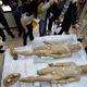 Illustration for article titled The Looting of Antiquities Is Becoming a Bigger Problem In Greece